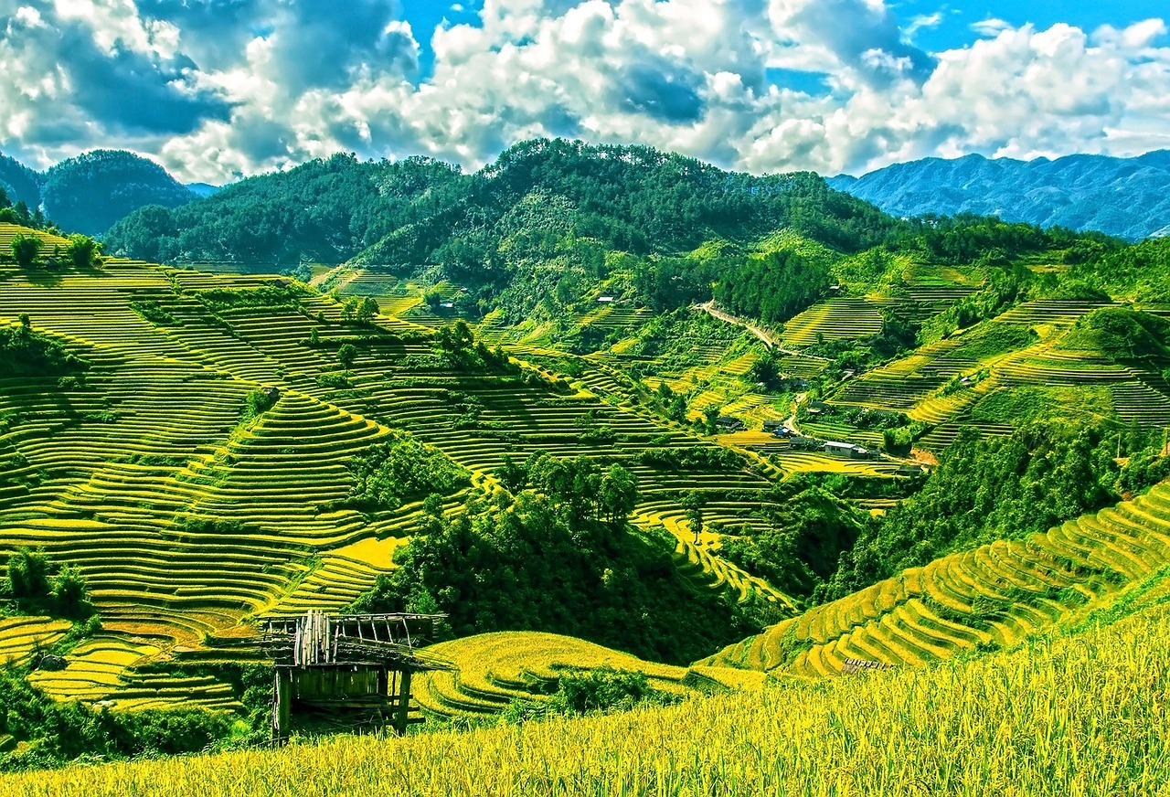 rice terraces, rice fields, mu cang chai-164622.jpg